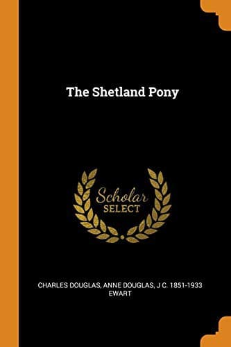 Tapa de The Shetland Pony