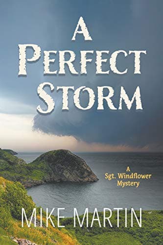 Tapa de A Perfect Storm