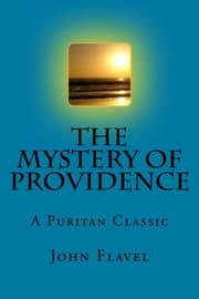 Tapa de The Mystery Of Providence