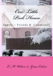 Tapa de The Little Pink House