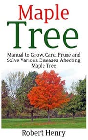Tapa de MAPLE TREE