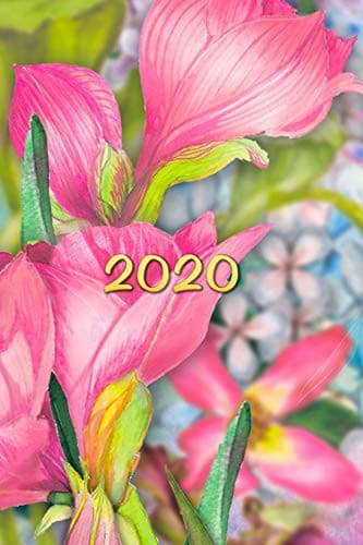 Tapa de 2020