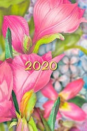 Tapa de 2020