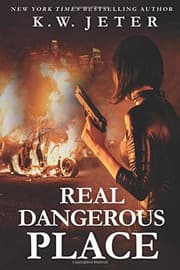 Tapa de Real Dangerous Place