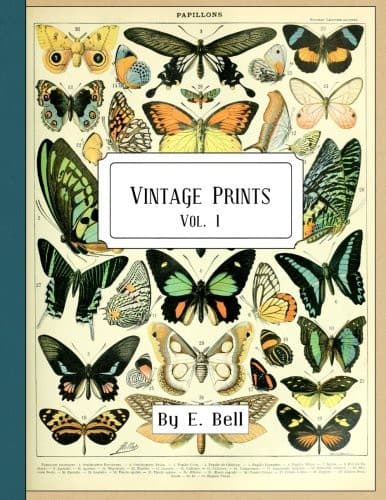 Tapa de Vintage Prints