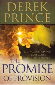 Tapa de The Promise of Provision