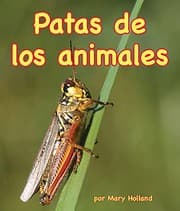 Tapa de Patas de los animales [Animal Legs]