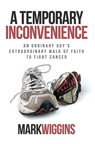 Tapa de A Temporary Inconvenience