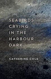 Tapa de Seabirds Crying in the Harbour Dark