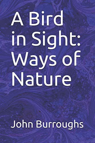 Tapa de A Bird in Sight
