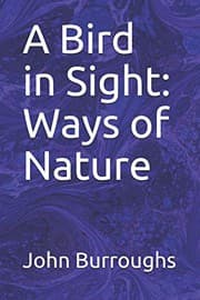 Tapa de A Bird in Sight