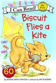 Tapa de Biscuit flies a kite