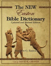 Tapa de The NEW Easton Bible Dictionary