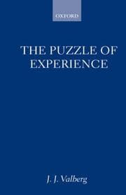 Tapa de The puzzle of experience