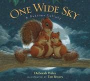 Tapa de One Wide Sky