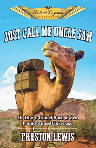 Tapa de Just Call Me Uncle Sam