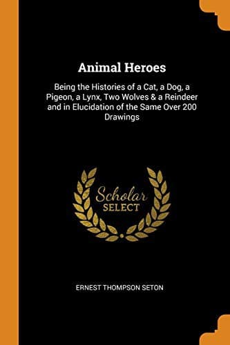 Tapa de Animal Heroes