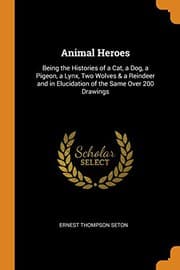Tapa de Animal Heroes