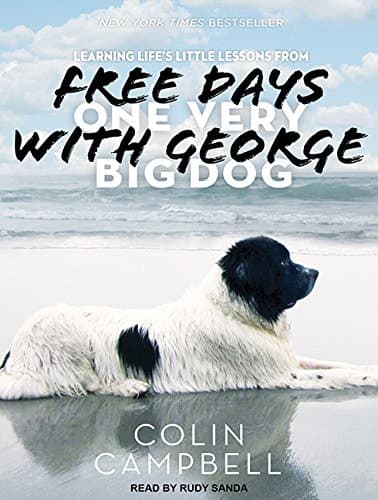 Tapa de Free Days With George