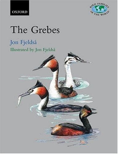 Tapa de The grebes