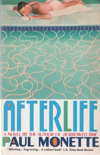 Tapa de Afterlife