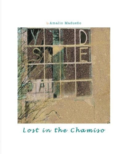 Tapa de Lost In The Chamiso