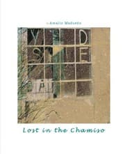Tapa de Lost In The Chamiso