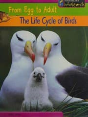 Tapa de The life cycle of birds