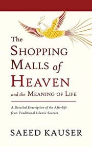 Tapa de The Shopping Malls of Heaven