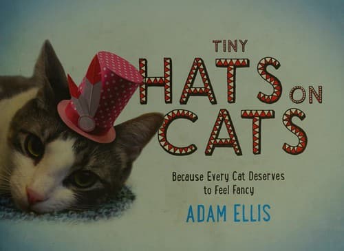 Tapa de Tiny Hats on Cats