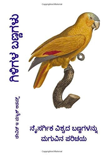 Tapa de Giligala bannagalu