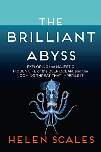 Tapa de The Brilliant Abyss