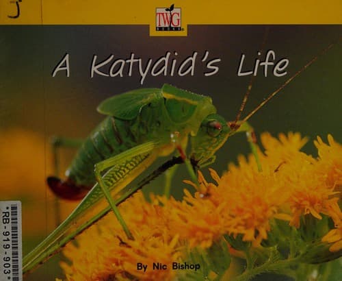 Tapa de A katydid's life