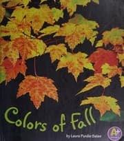 Tapa de Colors of fall