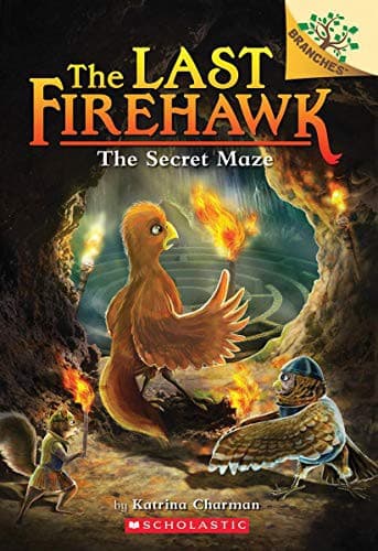 Tapa de The Secret Maze