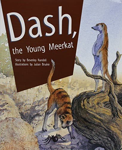Tapa de Dash, the Young Meerkat