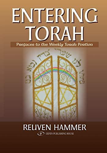 Tapa de Entering Torah