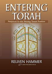 Tapa de Entering Torah