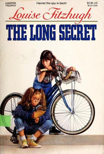 Tapa de The Long Secret