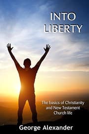 Tapa de Into Liberty
