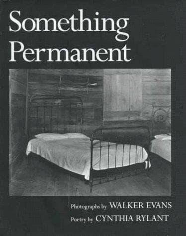 Tapa de Something permanent