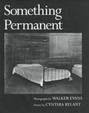 Tapa de Something permanent