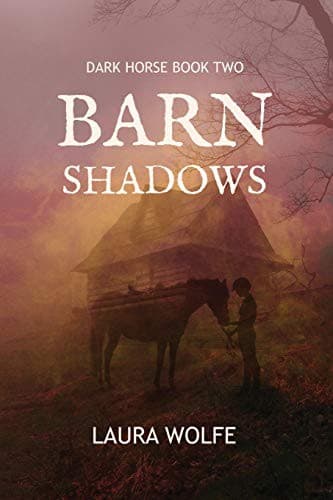Tapa de Barn Shadows