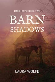 Tapa de Barn Shadows