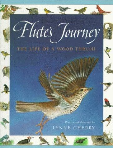Tapa de Flute's Journey