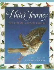 Tapa de Flute's Journey