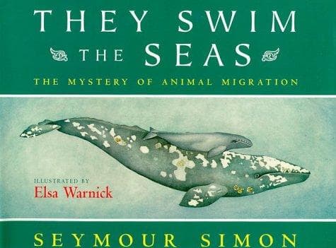 Tapa de They swim the seas
