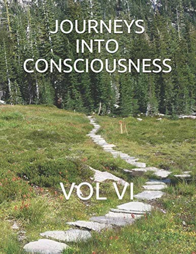 Tapa de Journeys Into Consciousness