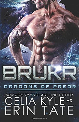 Tapa de Brukr
