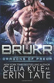 Tapa de Brukr